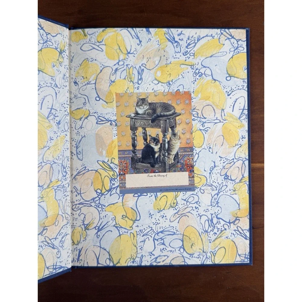 The Velveteen Rabbit Deluxe Slipcover Margery Williams Illustrated 1991